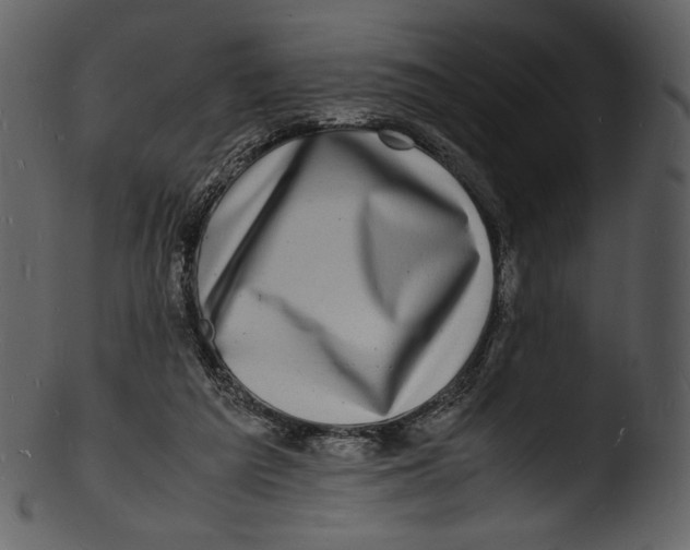 X0000103250209200809251359