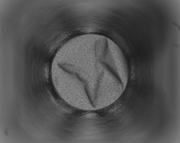 X0000103250210200809251359