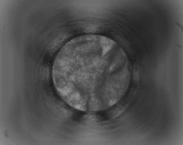 X0000103250211200809251359