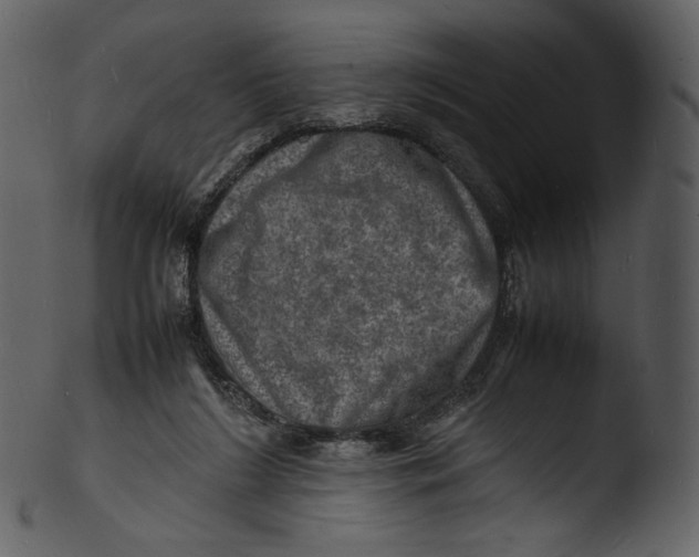 X0000103250212200809251359