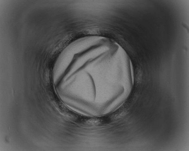 X0000103250213200809251359
