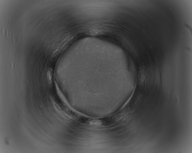 X0000103250214200809251359