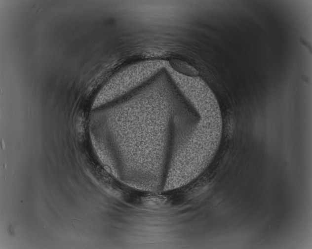 X0000103250215200809251359