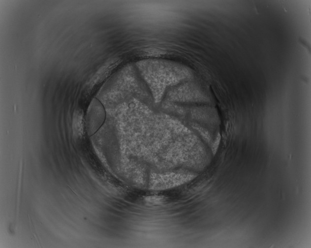 X0000103250216200809251359