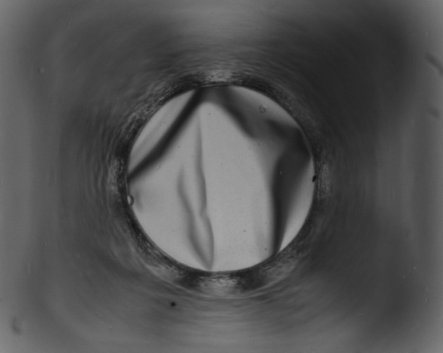 X0000103250217200809251359