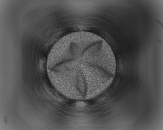 X0000103250218200809251359