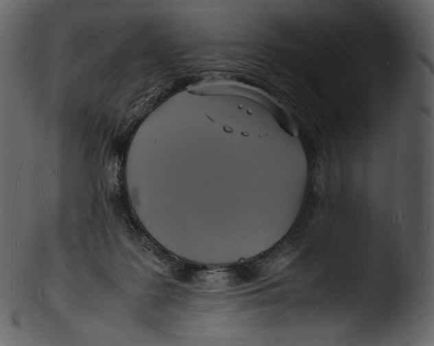 X0000103250219200809251359