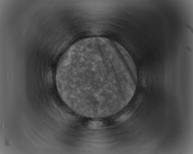 X0000103250220200809251359