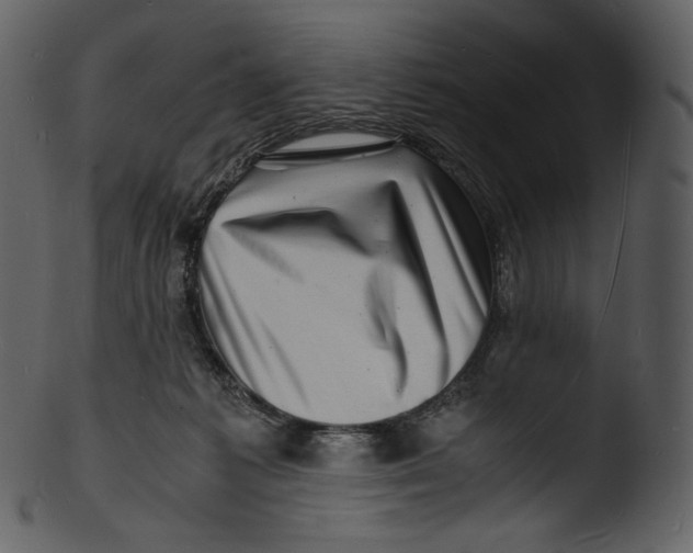 X0000103250221200809251359