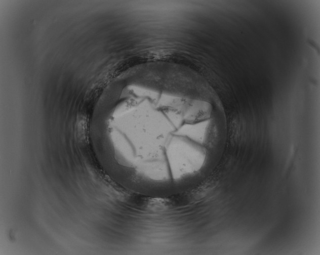 X0000103250222200809251359