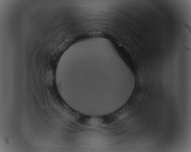 X0000103250223200809251359