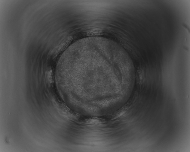 X0000103250224200809251359