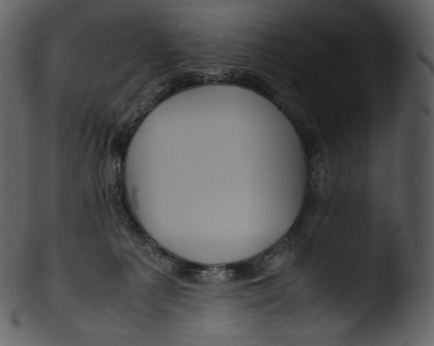X0000103250225200809251359