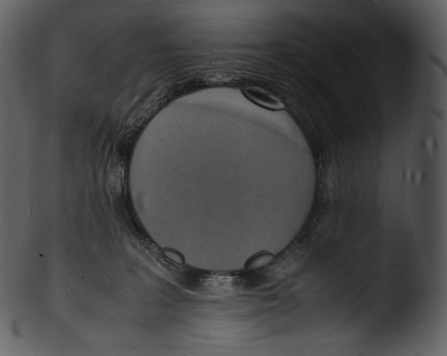 X0000103250227200809251359