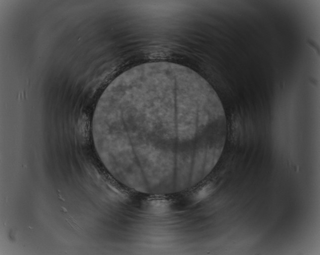 X0000103250228200809251359
