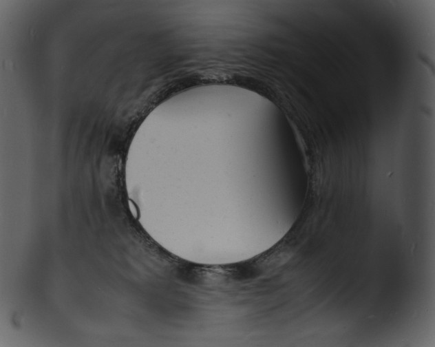 X0000103250229200809251359