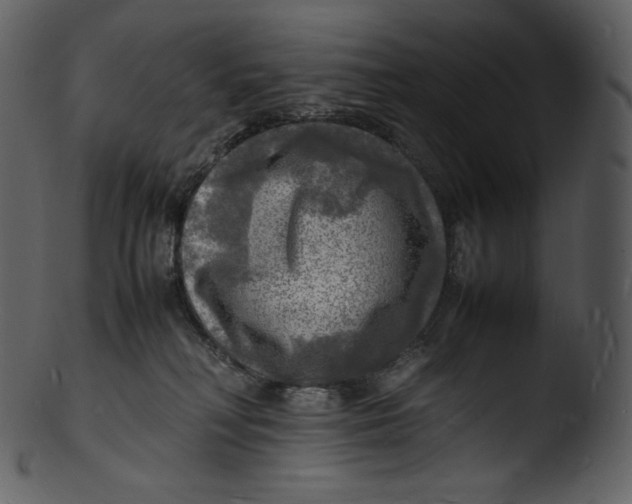 X0000103250230200809251359