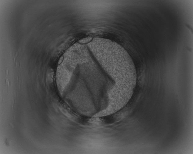 X0000103250231200809251359