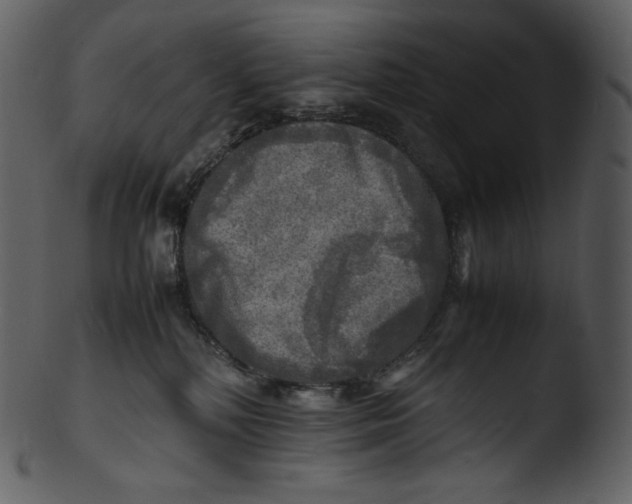 X0000103250232200809251359
