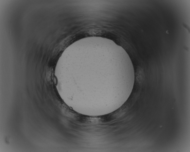 X0000103250233200809251359