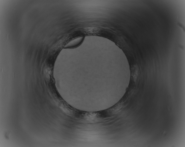 X0000103250235200809251359