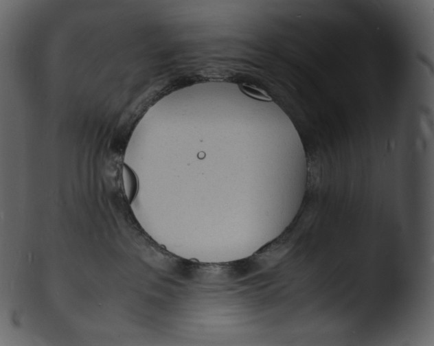 X0000103250237200809251359