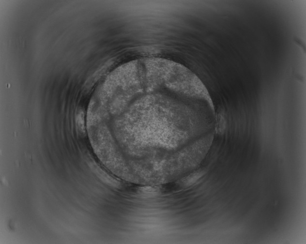 X0000103250238200809251359