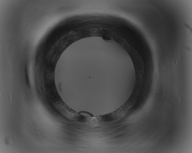 X0000103250239200809251359