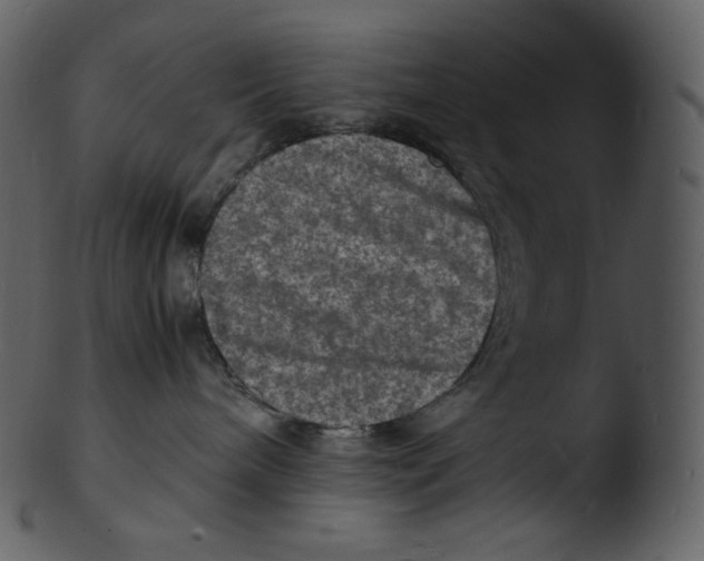 X0000103250240200809251359