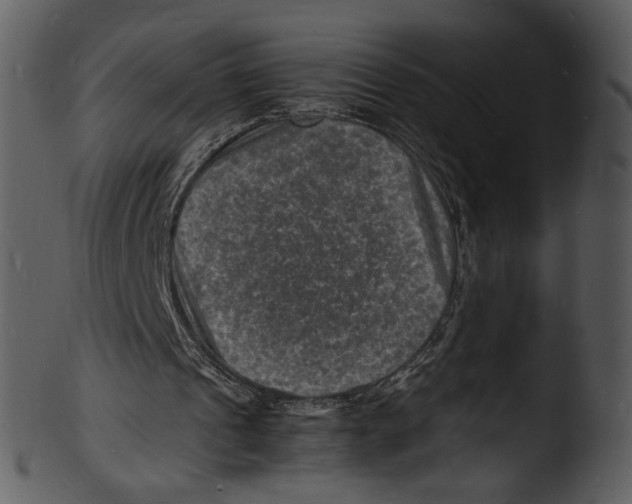 X0000103250241200809251358