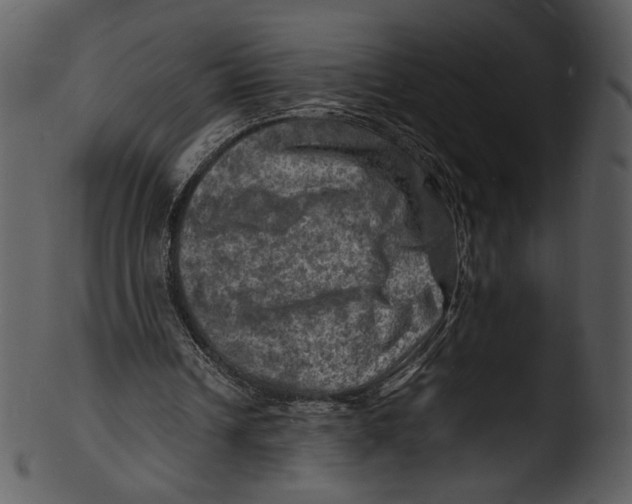 X0000103250242200809251358