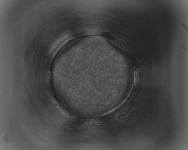 X0000103250243200809251358