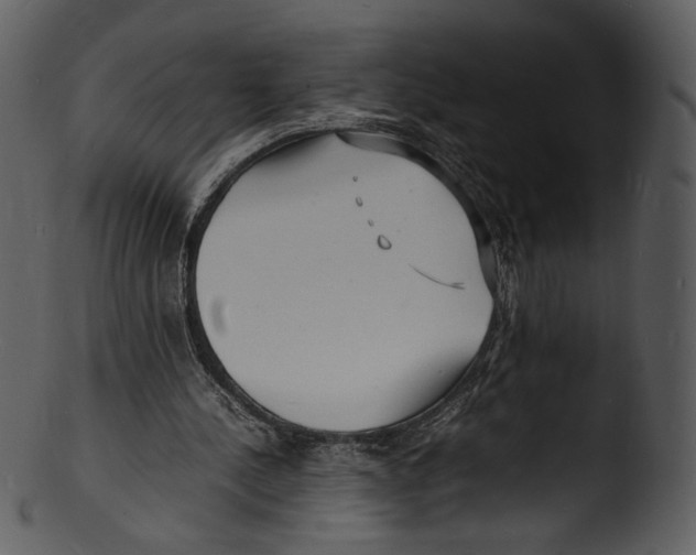 X0000103250244200809251358