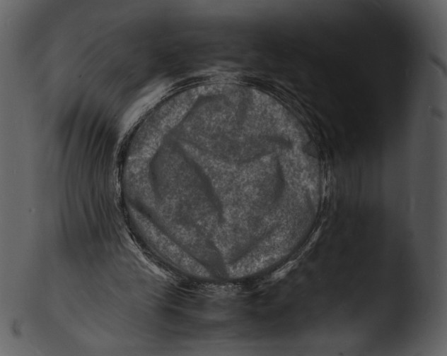 X0000103250245200809251358