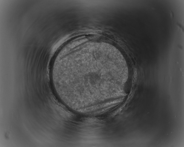 X0000103250246200809251358