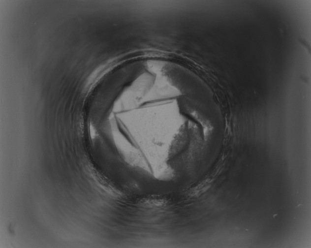 X0000103250247200809251358