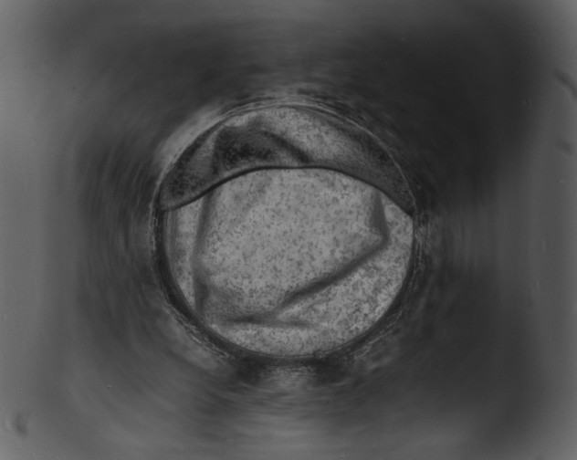 X0000103250248200809251358