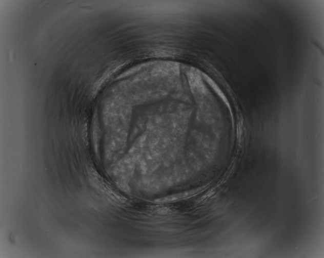 X0000103250249200809251358