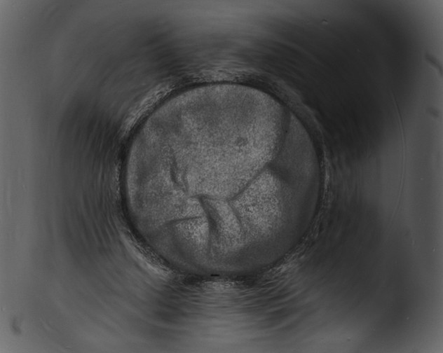 X0000103250250200809251358