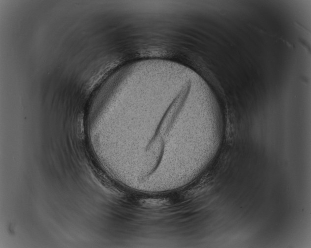 X0000103250251200809251358