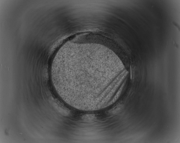 X0000103250252200809251358