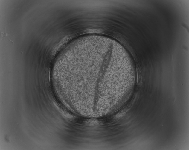 X0000103250253200809251358