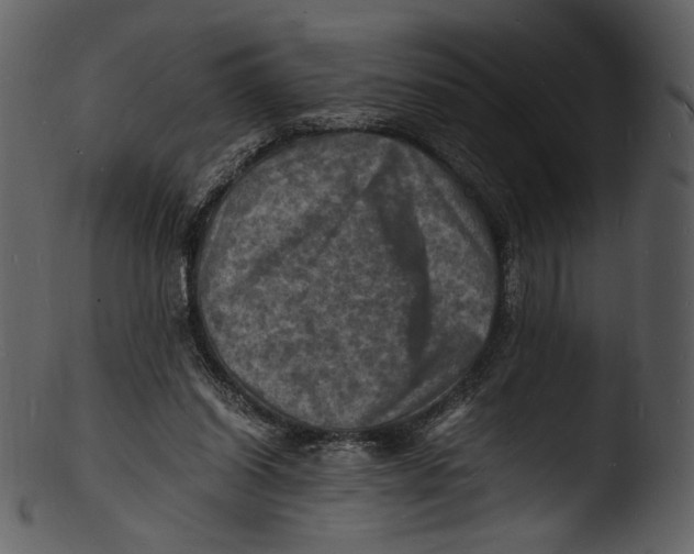 X0000103250254200809251358