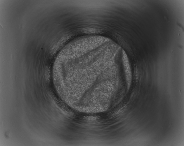 X0000103250255200809251358
