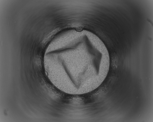 X0000103250256200809251358