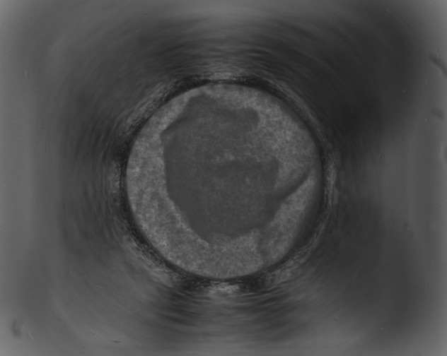 X0000103250257200809251358