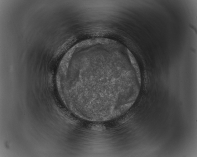 X0000103250258200809251358
