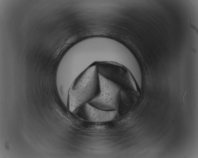 X0000103250260200809251358