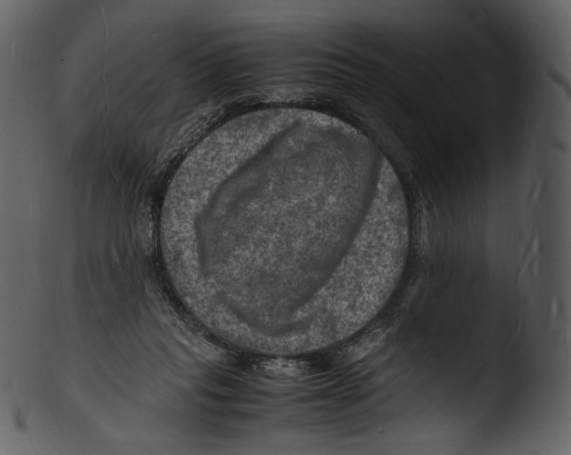X0000103250261200809251358