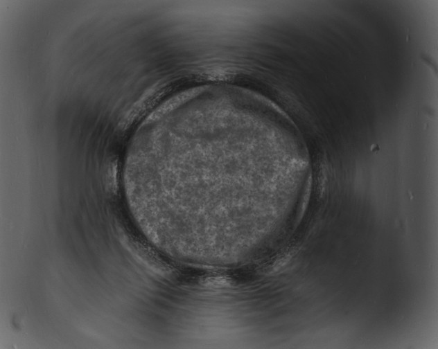 X0000103250262200809251358